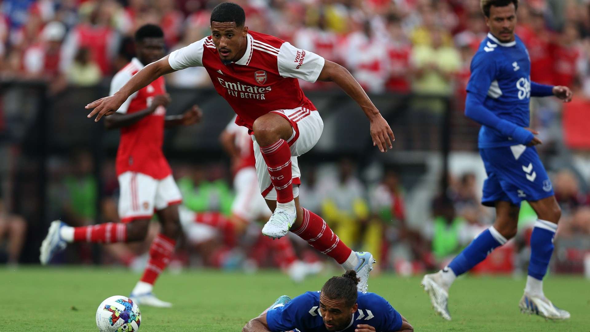 新的活力 新的活力