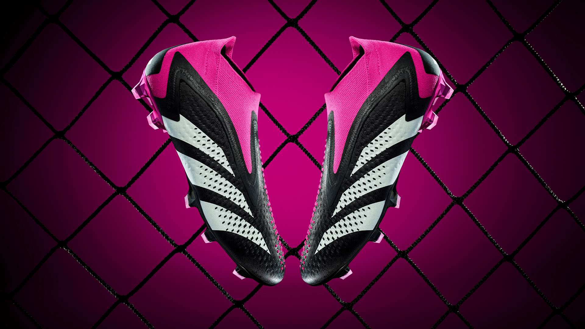 武汉队往往 武汉队往往