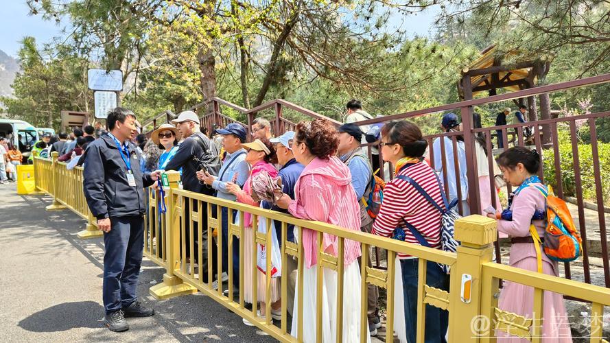 春意盎然文旅盛 市场活力展现——2025年清明假期回顾